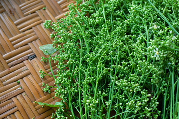 Flower and leaf of neem plant