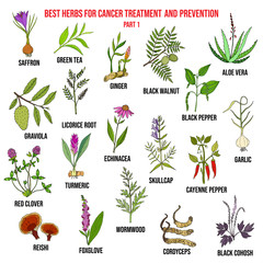 Fototapeta na wymiar Best herbs for cancer treatment and prevention