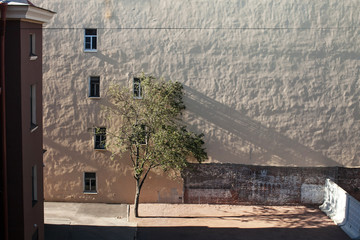 Typical Courtyard In The Old District Of St. Petersburg, Russia. Lateral Light Illuminates The Texture Of The Building Wall, Apple Tree Casts A Long Shadow