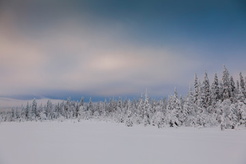 Panorama of winter snowy landscape with forest and mountain, Paanajärvi, Karelia, Russia