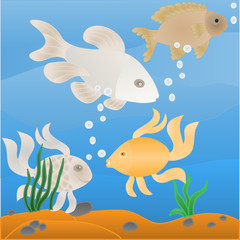 Naklejka na ściany i meble fish in aquarium with pebbles