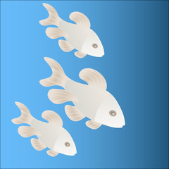 beautiful fishes in blue water