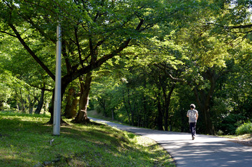 新緑に囲まれた遊歩道