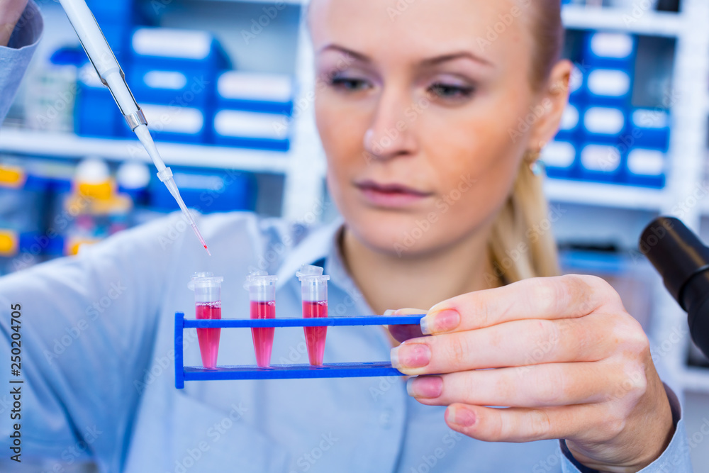 Wall mural Female technician in laboratory of genetics - reprogenetics. Young technician use dispenser for pipetting PCR strips