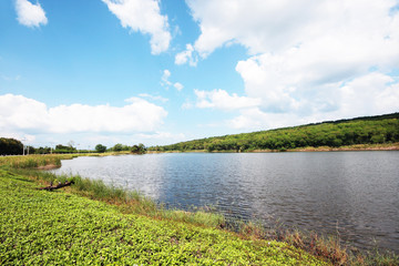 Landscape of green meadow on the mountain with blue sky and clond