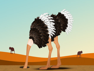 illustration of ostrich with his head in the sand