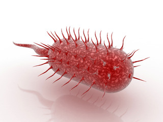 3d rendering Virus bacteria cells background