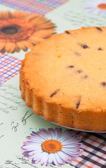 home made sponge cake round with plum and dates