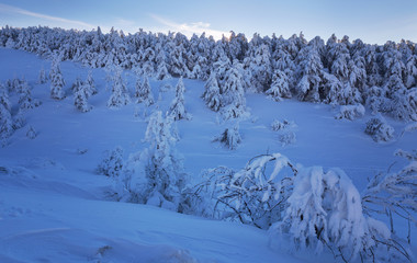 Fototapeta na wymiar Winter landscape on a mountain top. Trees in the snow. Mountain peak, blue sky and winter sun.