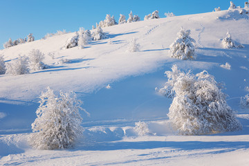 Winter landscape on a mountain top. Trees in the snow. Mountain peak, blue sky and winter sun.