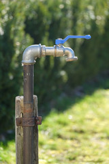 an outdoor faucet in the garden