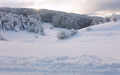 Winter landscape on a mountain top. Trees in the snow. Mountain peak, blue sky and winter sun.