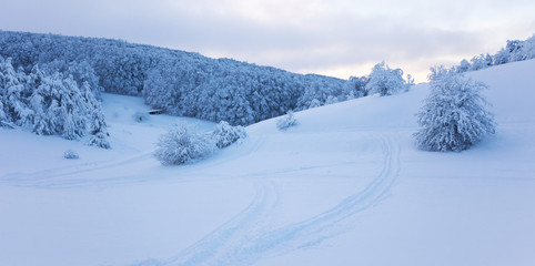 Fototapeta na wymiar Winter landscape on a mountain top. Trees in the snow. Mountain peak, blue sky and winter sun.