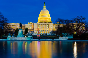 Fototapeta premium Capitol Hill building house of representative and senate government in Washington DC