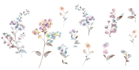 Colorful little chrysanthemum flower illustration