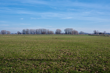 The green dikes of Angeren, the Netherlands