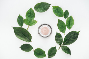 top view of circular composition with green leaves and beauty cream isolated on white
