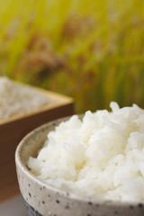 新米の御飯