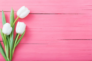tulips flowers on pink wooden background
