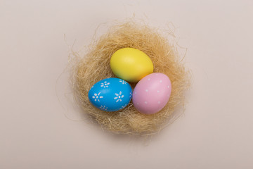 Colorfull easter eggs in nest on pastel color background with space. Concept