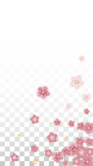 Vector Spring or Summer Sale Background with Flowers and Percent for Banner Design. Good for Special Hot Holiday Discount Offer, Black Friday, Fashion Promotion Action. Romantic Sakura Illustration.