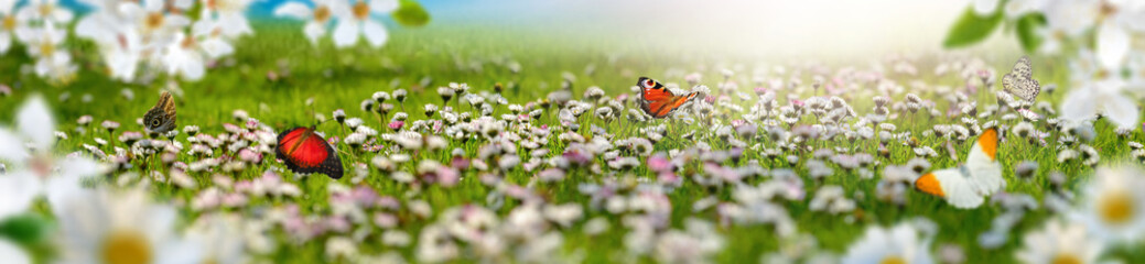 Dreamland spring landscape panorama with flowers and butterflies