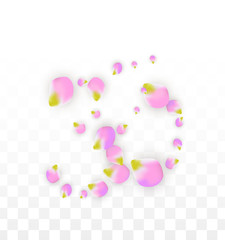 Obraz na płótnie Canvas Vector Realistic Pink Petals Falling on Transparent Background. Spring Romantic Flowers Illustration. Flying Petals. Sakura Spa Design. Blossom Confetti.
