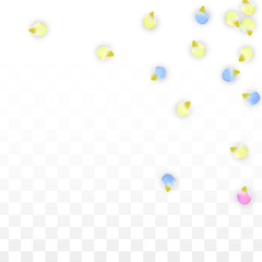 Vector Realistic Colorful Petals Falling on Transparent Background.  Spring Romantic Flowers Illustration. Flying Petals. Sakura Spa Design. Blossom Confetti. Design Elements for Wedding Decoration.