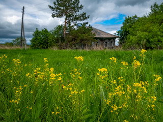 Old crashed wooden house in an abandoned village on a cloudy sky background. The ruins of a wooden hut on a grassy street
