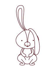 cute rabbit isolated icon