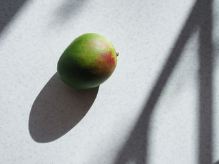 Multicolored mango fruit on a background of monochrome shadows