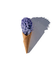 Eiswaffeln mit Blüte.