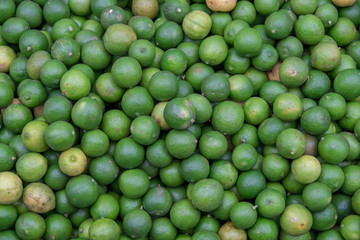 background of green lime