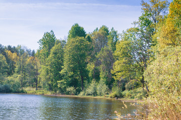 Large forest lake in spring in clear weather