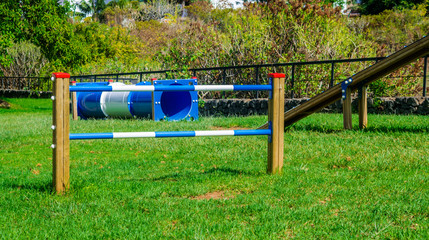 Dog agility circuit, with green grass and sunlight