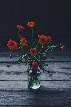 Still life with red chrysanthemum in glass vase on dark wooden background