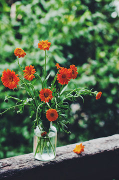 Bunch of orange chrysanthemums in glass bottle on rusted window sill