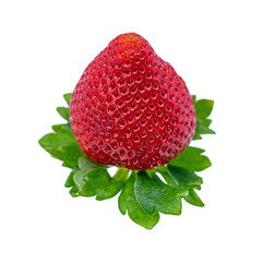 strawberry with fruit leaves on white background