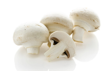 White champignon mushrooms on a white background