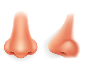 Front profile human nose realistic isolated 3d icon design vector illustration