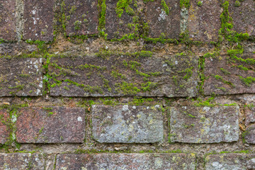 Old brick stone wall green moss background texture