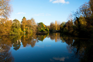 Fototapeta na wymiar Trees reflecting in a Lake at Summer