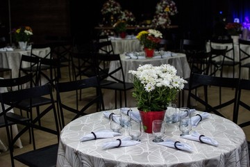 decoration party 