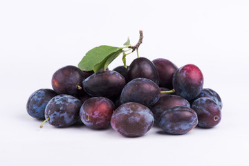  plum close-up. sweet plum