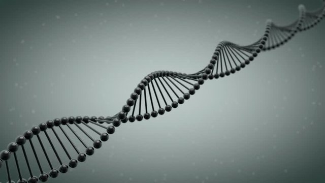 Looping DNA strand