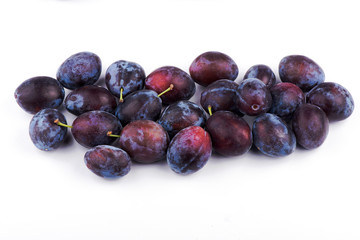  plum close-up. sweet plum