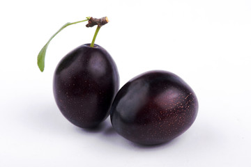  plum close-up. sweet plum