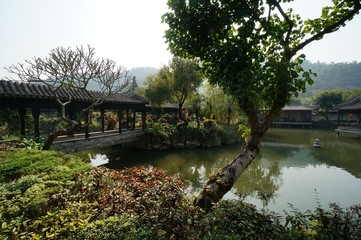 Fototapeta na wymiar bridge in the chinese garden