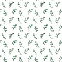 watercolor eucalyptus pattern