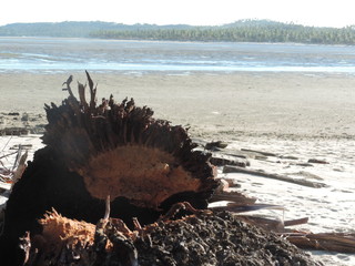 Coroa do Avi&atilde;o - Itamarac&aacute;